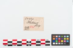 Etiketten zu Bronzekahnfibel (NHMW-PRAE-024960)